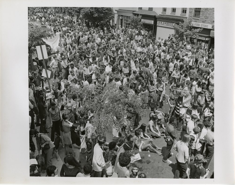 25-033 (click for large image)